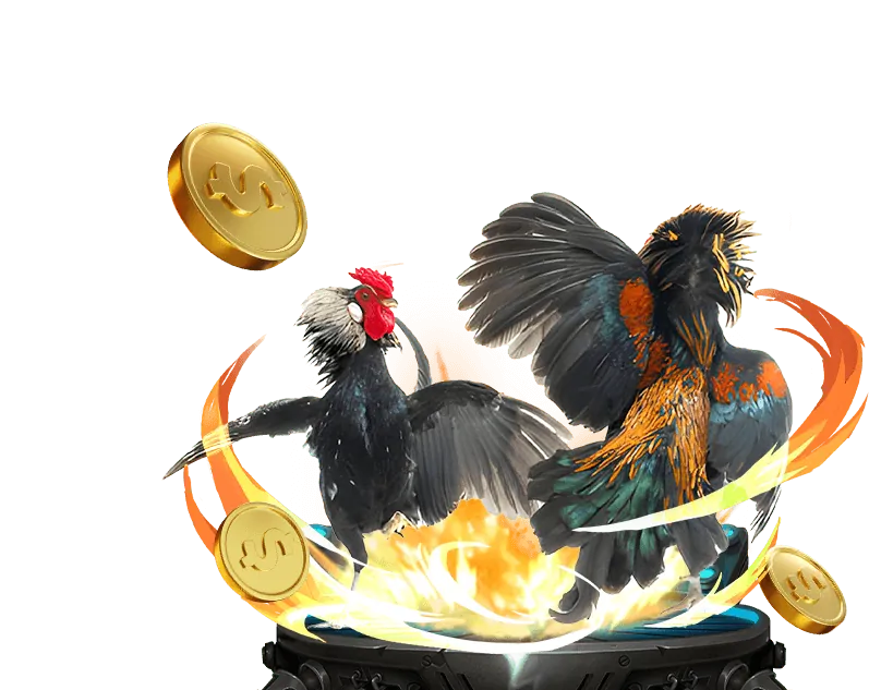 Các tính năng nổi bật của ứng dụng vn88